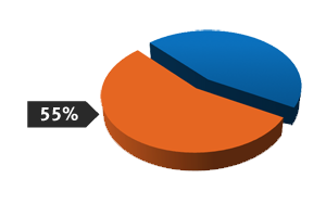 Budget Pie Chart 2015