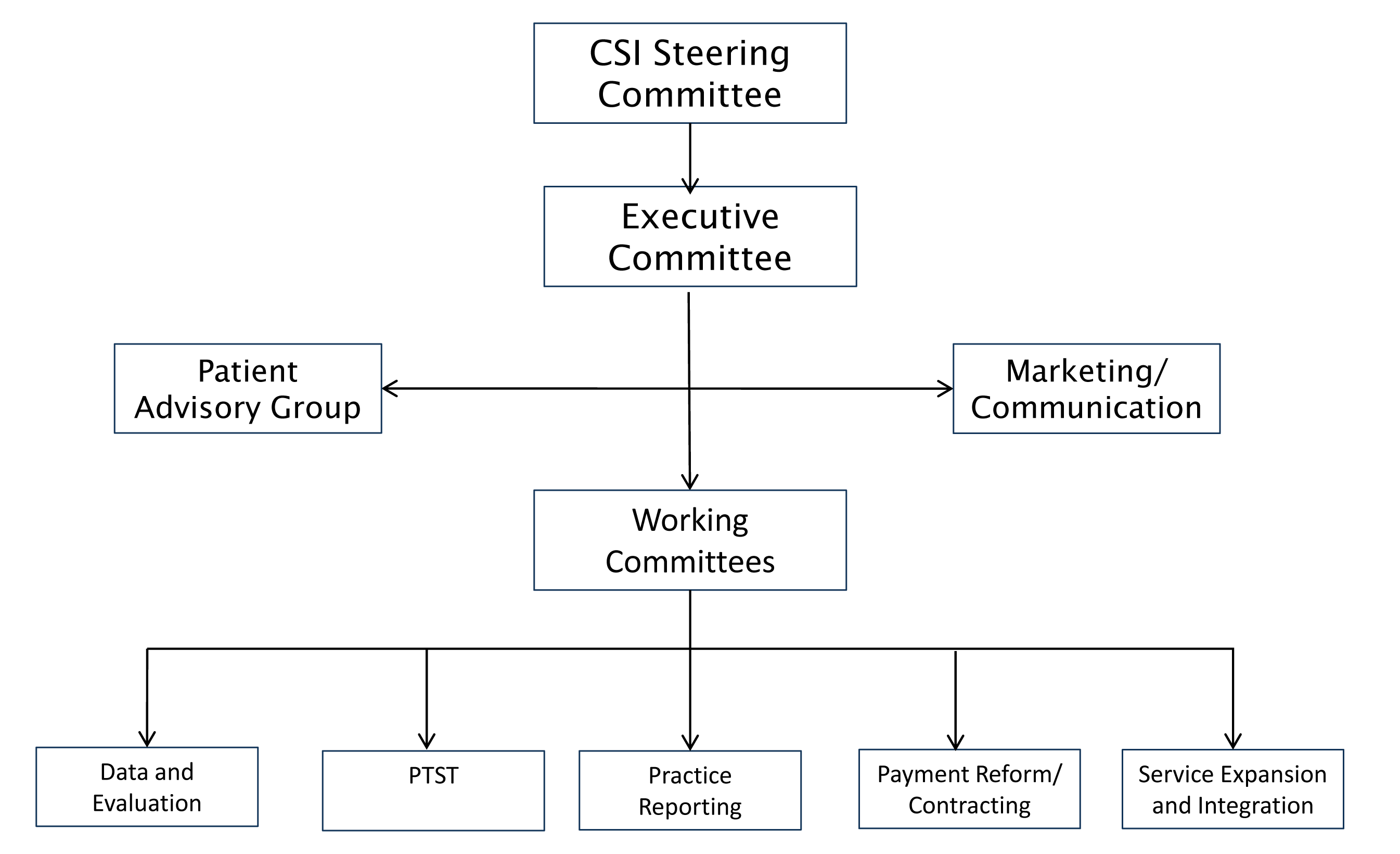 Appendix 2: CSI Governance Structure
