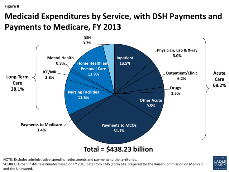 Figure 8: Medicaid Expenditures by Service, with DSH Payments and Payments to Medicare, FY 2013