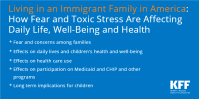 Living in An Immigrant Family: How Fear and Toxic Stress Are Affecting Daily Life