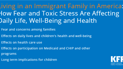 Living in An Immigrant Family: How Fear and Toxic Stress Are Affecting Daily Life