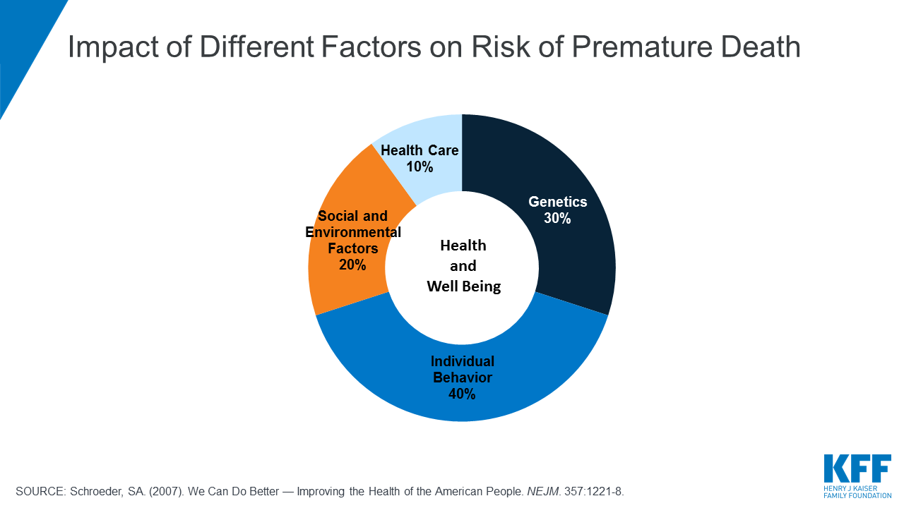 Social Determinants Of Health Pie Chart