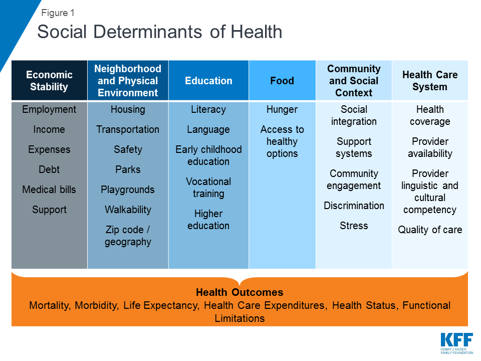 Social Determinants Of Health Pie Chart