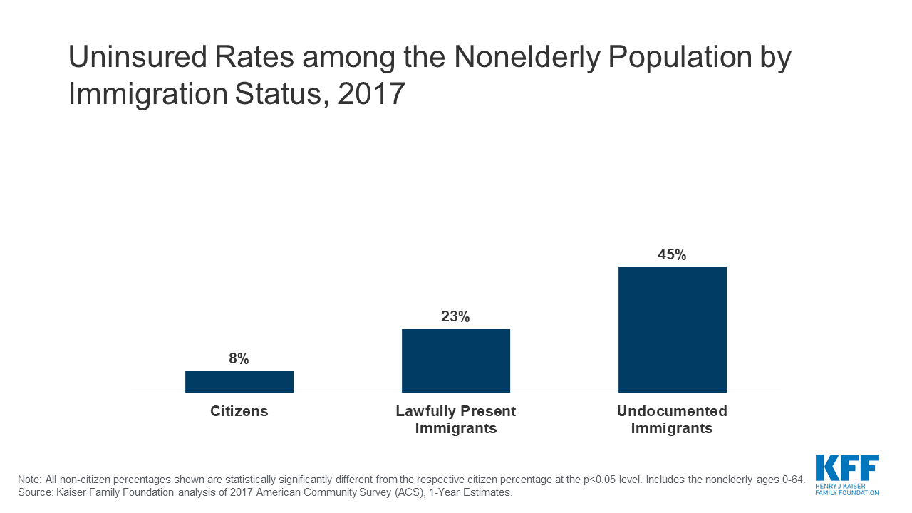 Undocumented Immigrants 