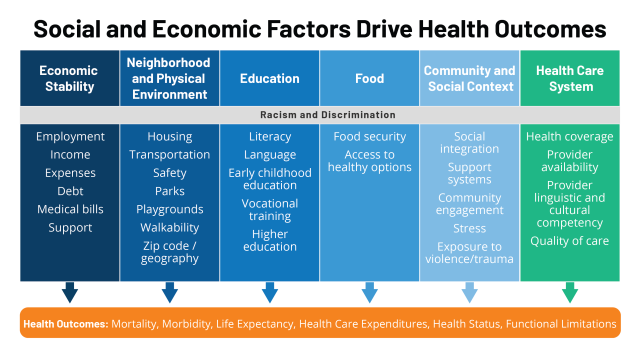 Political Determinants Of Health Definition