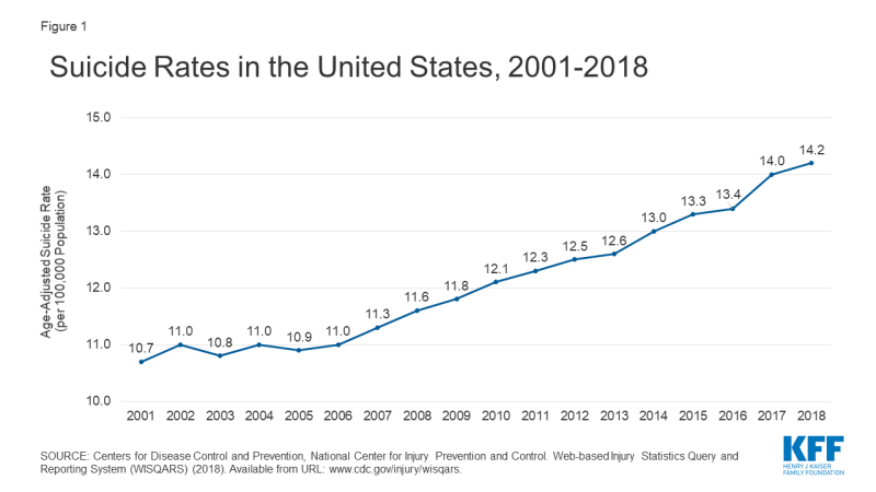 Line Chart Showing Suicide Rate in the US 