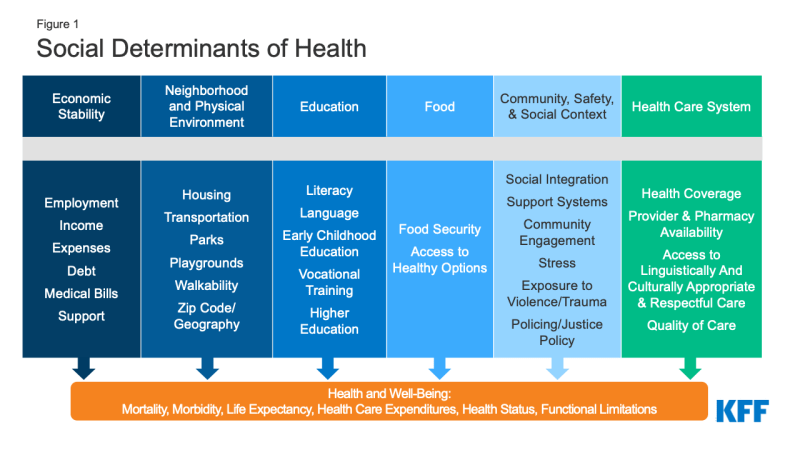 Figure 1: Social Determinants of Health