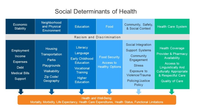 sdoh-chart-re-4-7-kff