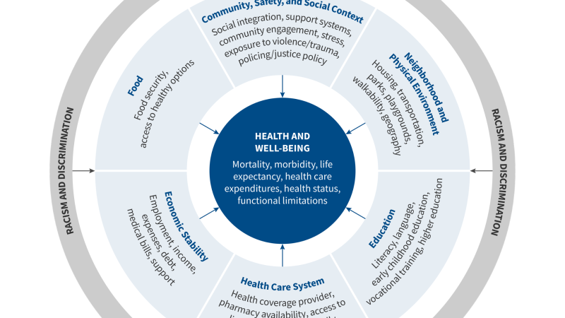 infographic displaying the various social and economic inequities than can lead to poor health outcomes