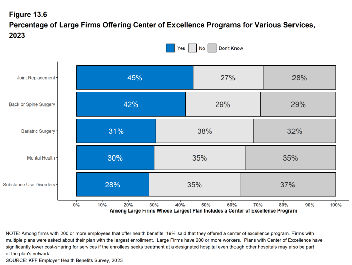 Figure 13.6: Percentage of Large Firms Offering Center of Excellence Programs for Various Services, 2023