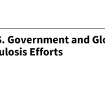 The U.S. Government and Global Tuberculosis Efforts