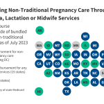 Challenges and Strategies in Expanding Non-Traditional
Preg...ed Services: Findings from a Survey of State Medicaid
Programs