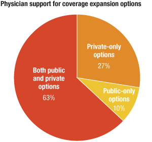 Poll Finds Most Doctors Support Public Option