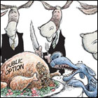 KFF Health News's Political Cartoons 2009