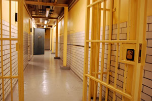 By The Numbers: Mental Illness Behind Bars
