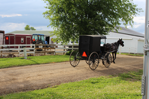 Ohio Amish Reconsider Vaccines Amid Measles Outbreak