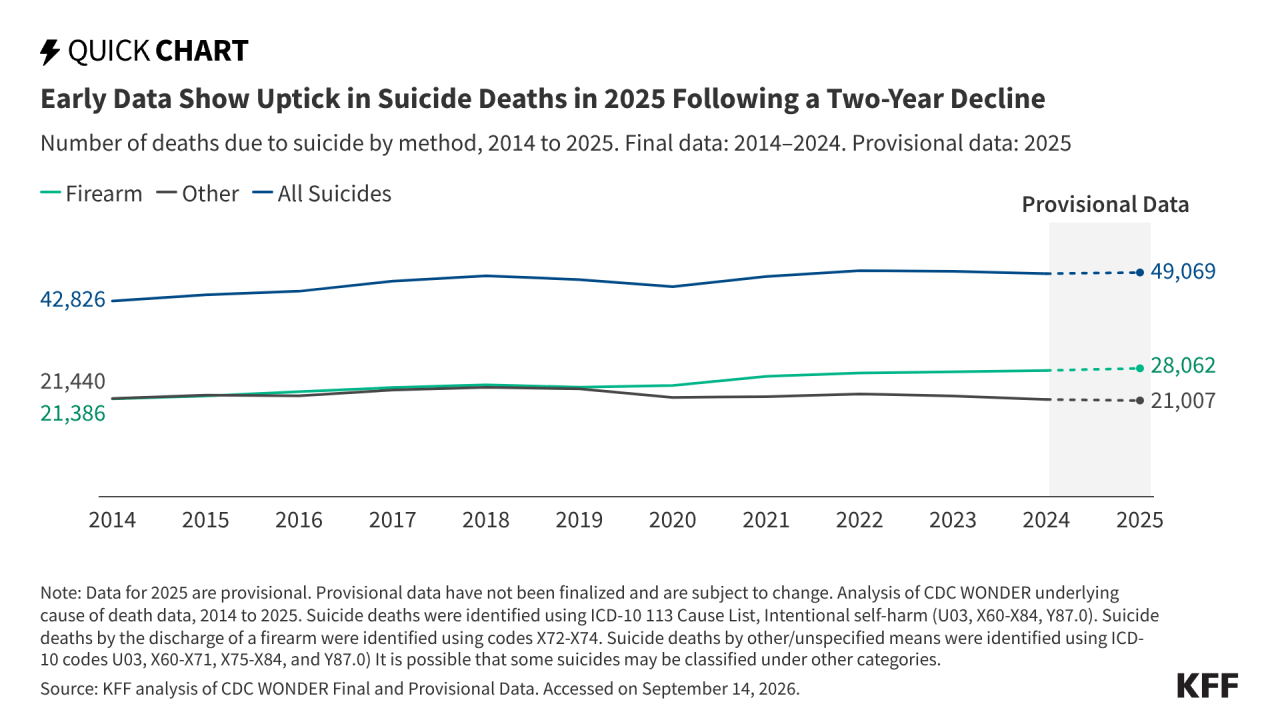 Early Data Show Uptick in Suicide Deaths in 2025 Following a Two-Year Decline