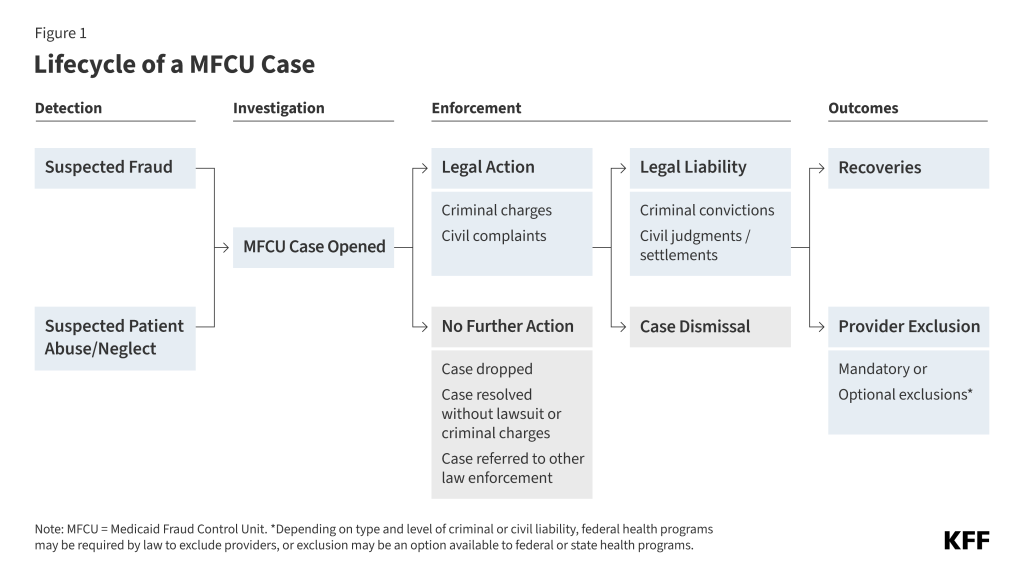 Figure 1 illustrates the "Lifecycle of a MFCU Case" via a flow chart. From left to right, the categories are Detection, Investigation, Enforcement, and then Outcomes. 