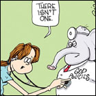 Political Cartoons