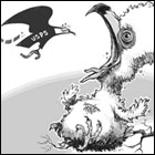 Political Cartoons