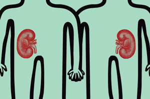 Kidney Donation Over Age 70? Desperate Patients Saying, 'Yes, Please'