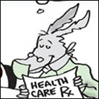Political Cartoons