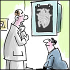 Political Cartoons
