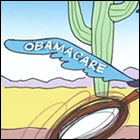 Political Cartoons