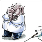Political Cartoons