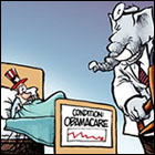 Political Cartoons